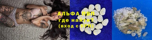 спайс Галич