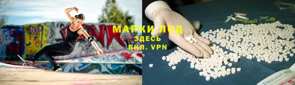 ПСИЛОЦИБИНОВЫЕ ГРИБЫ Губаха