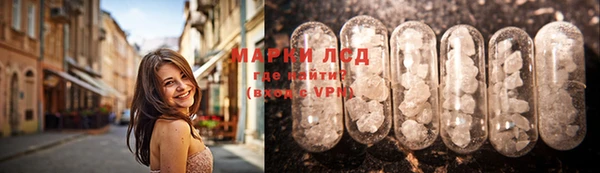 ПСИЛОЦИБИНОВЫЕ ГРИБЫ Губаха