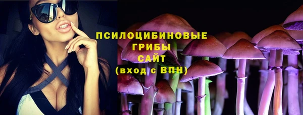 дживик Грязовец