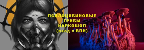 дживик Грязовец