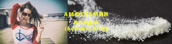 спайс Галич