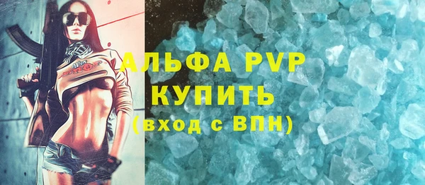 спайс Галич