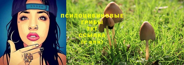 наркотики Гатчина