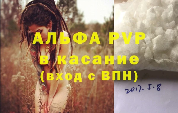 спайс Галич