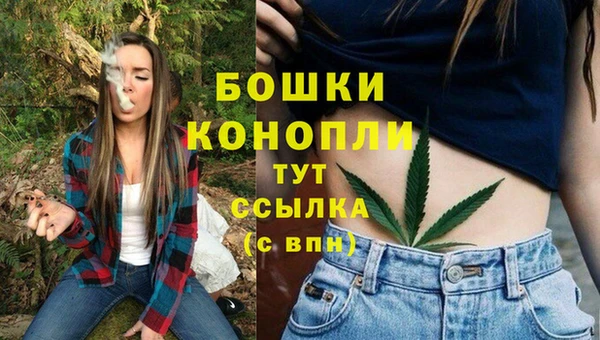 наркотики Гатчина
