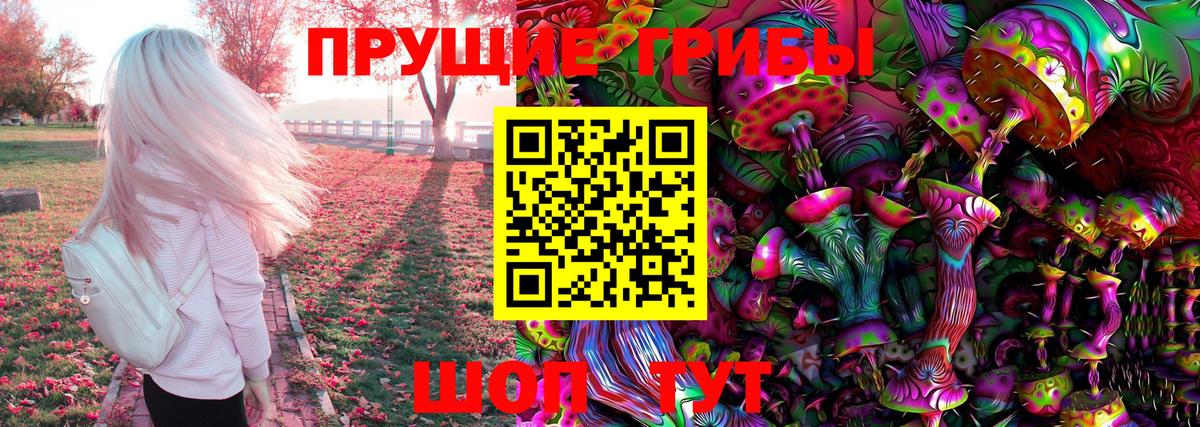 Псилоцибиновые грибы мухоморы Камень-на-Оби