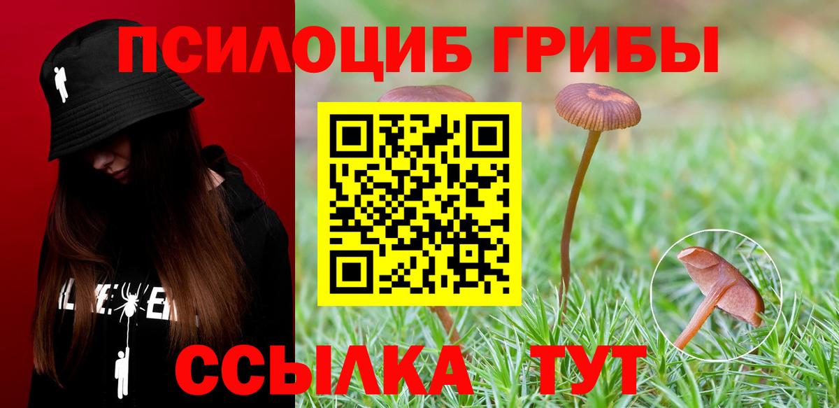 Галлюциногенные грибы GOLDEN TEACHER  Псилоцибиновые грибы Cubensis  Камень-на-Оби  Вход с VPN 
