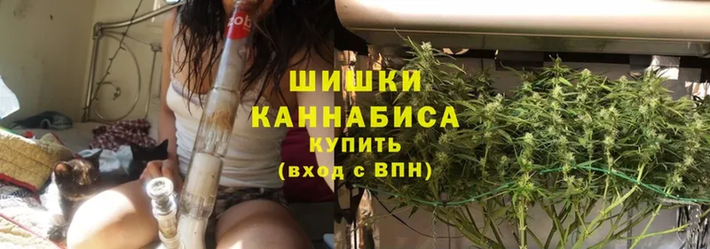 Бошки Шишки THC 21%  Камень-на-Оби 